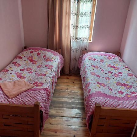 Guest House Tsasne Omalo Εξωτερικό φωτογραφία