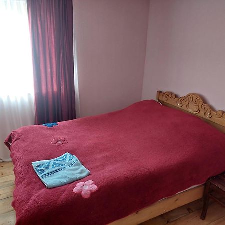 Guest House Tsasne Omalo Εξωτερικό φωτογραφία