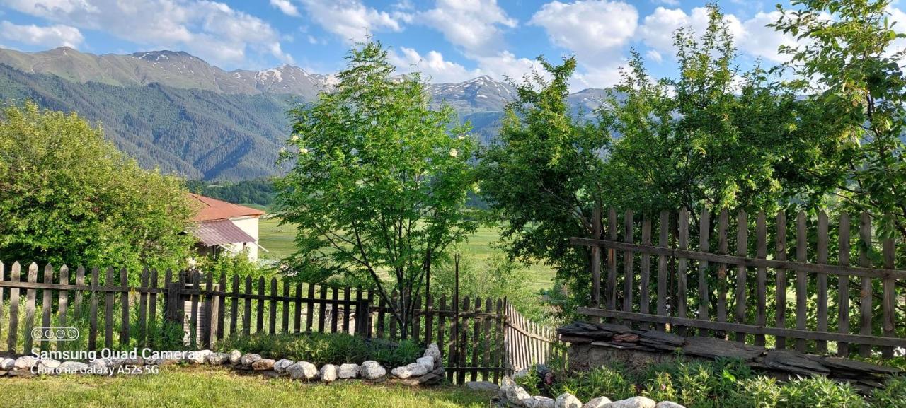 Guest House Tsasne Omalo Εξωτερικό φωτογραφία